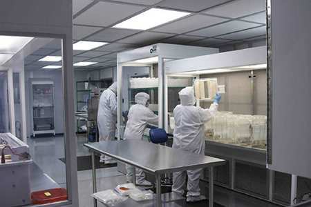 專(zhuān)家團隊01