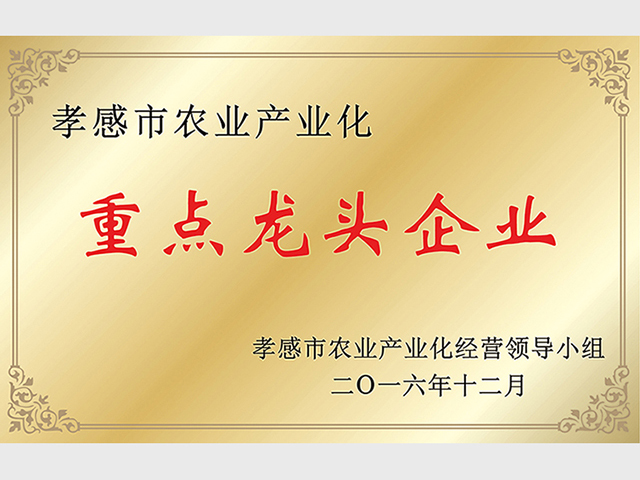 重點(diǎn)龍頭企業(yè)